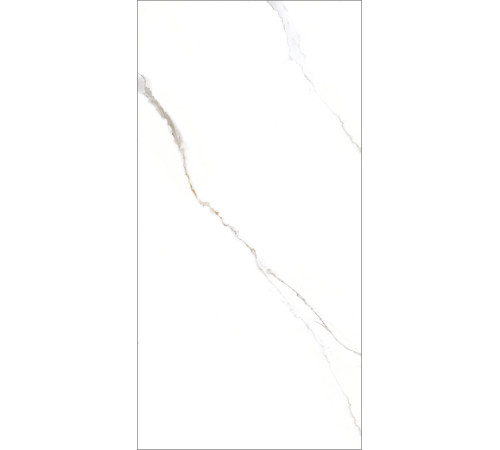 GT1206015103PR Керамогранит Corus белый полированный 60x120