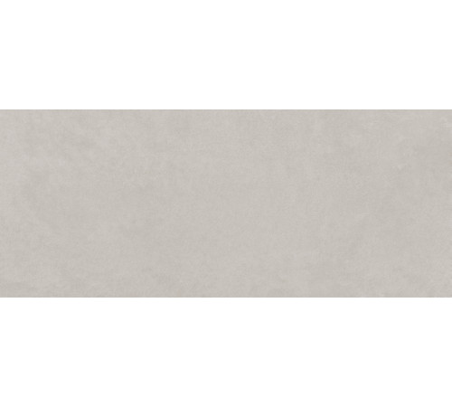 10100001349 Плитка настенная Eco Loft серая 01 матовая 25x60