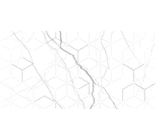 GT124VG Декор Siluet белый  глянцевая 25x50