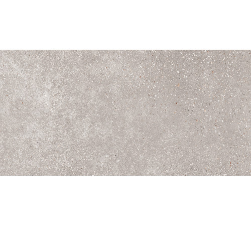 GT183VG Керамогранит Coral Rock серый матовый 30x60