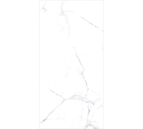 PGT120609403MGR Керамогранит Olivia белый матовый 60x120