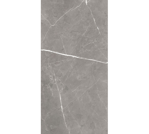 GT120603001MCR Керамогранит Encanto серый карвинг матовый 60x120