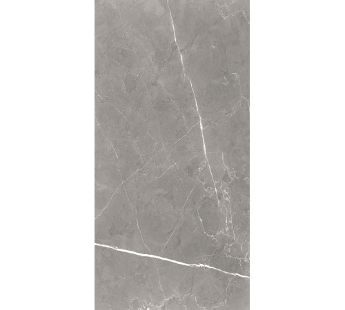 GT120603001MCR Керамогранит Encanto серый карвинг матовый 60x120