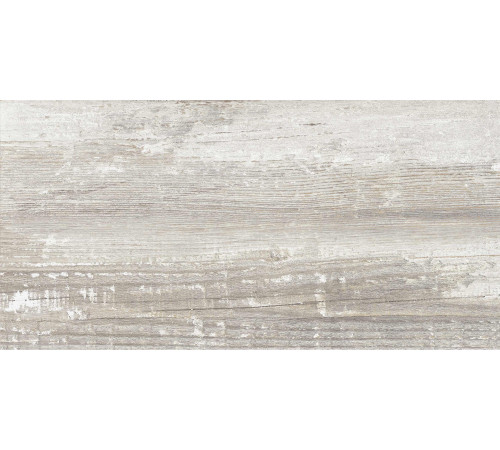 GT225VG Керамогранит Antares серый матовый 30x60