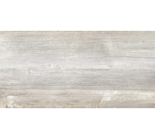 GT225VG Керамогранит Antares серый матовый 30x60