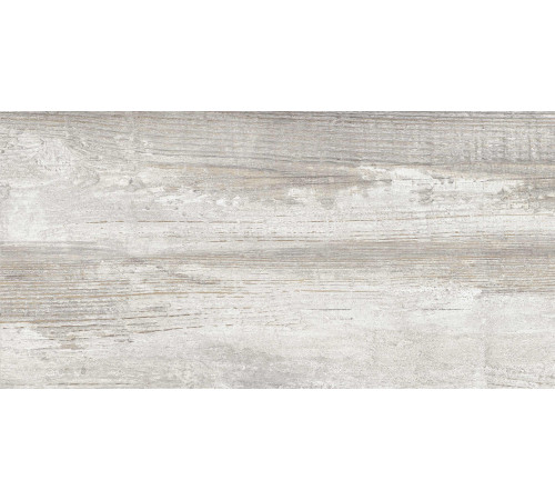 GT225VG Керамогранит Antares серый матовый 30x60