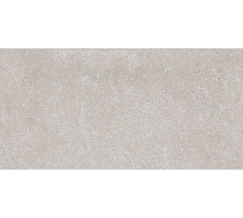 6260-0247-1031 Керамогранит Denver серый матовый 30x60