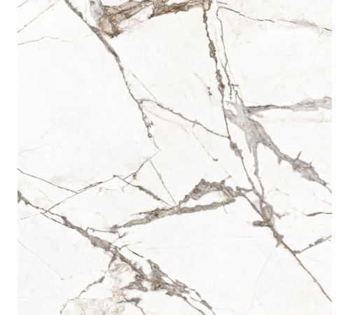 GT60604703PR Керамогранит Timeline белый полированный 60x60