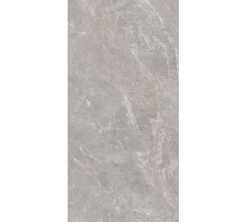 GT1206019601MDGR Керамогранит Anatolia серый матовый 60x120