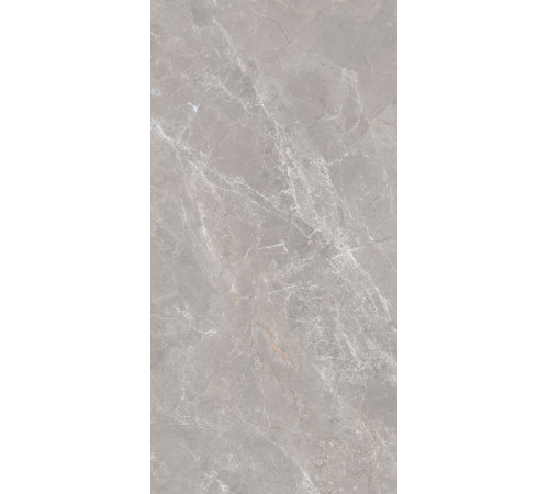 GT1206019601MDGR Керамогранит Anatolia серый матовый 60x120