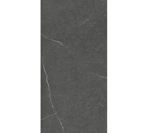 GT1206014305MCR Керамогранит Lakeside черный матовый 60x120