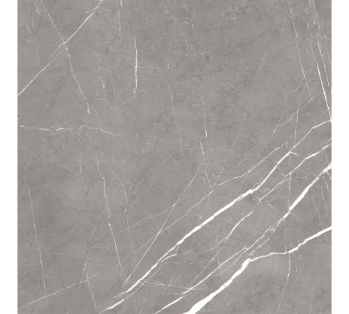 GT60603001MCR Керамогранит Encanto серый матовый 60x60