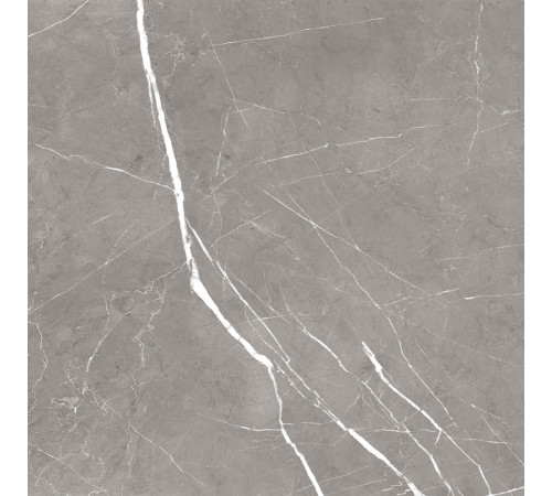 GT60603001MCR Керамогранит Encanto серый матовый 60x60