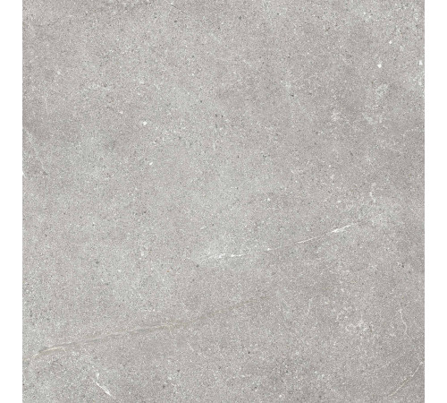 GT606019001MR Керамогранит Garda серый матовый 60x60