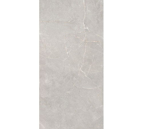 GT1206012601SSR Керамогранит Sogdiana серый сатинированный 60x120